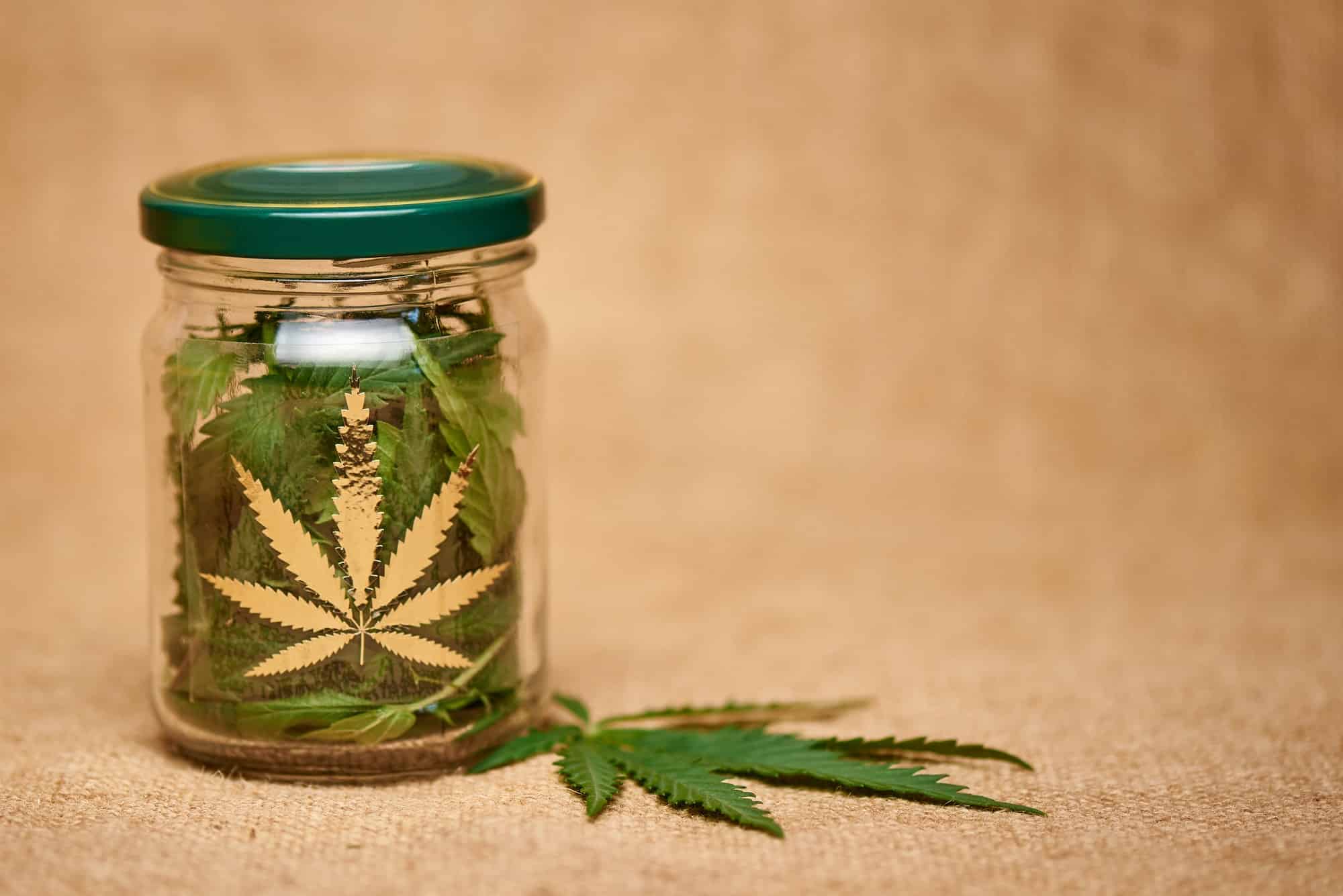 Débats sur la légalisation du cannabis et l’addiction.